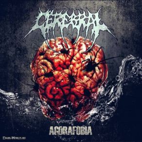 Download track Esquizofrenia Cerebral