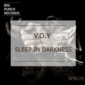 Download track Sleep In Darkness (Original Mix) V. O. Y