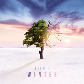 Download track Shine (Mixed) Cold Blue