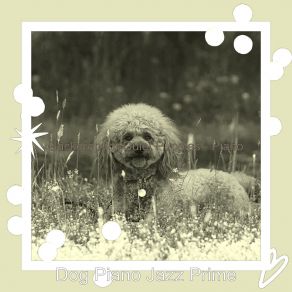 Download track Background For Keeping Dogs Relaxed Dog Jazz Prime