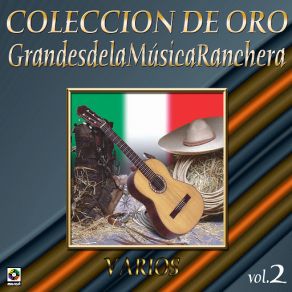 Download track El Adios Ranchero Lucha VillaChelo