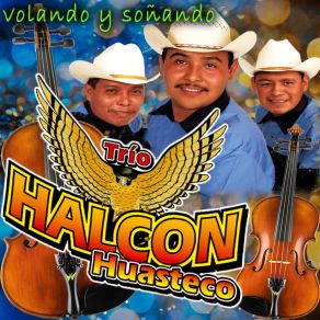 Download track El Terrenal Trio Halcon Huasteco