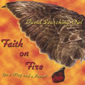 Download track Sweet Interludes David Searching Owl