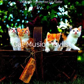 Download track Suave Jazz Guitar Trio - Vibe For Cute Cats Cat Music Playlist