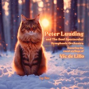 Download track Barn Burner Peter Luuding, The Soul Spectacular Symphonic Orchestra