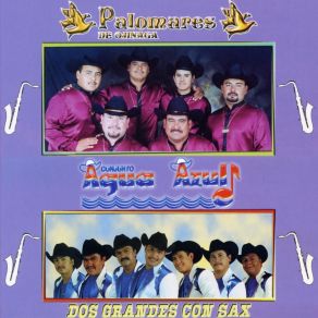 Download track Murio Mi Padre Palomares De Ojinaga