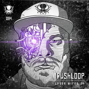 Download track Loose Wires Pushloop