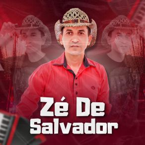 Download track O Velhinho Falhou Zé De Salvador