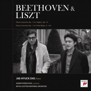 Download track Piano Concerto No. 1 In E Flat Major, S. 124 - IV. Allegro Marziale Animato Jae-Hyuck Cho