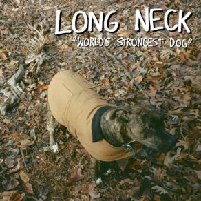 Download track Bad Words Long Neck