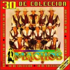 Download track La Culebra Banda Machos