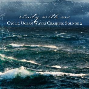 Download track Cyclic Ocean Waves Crashing Sounds, Pt. 20 Sebastian Riegl