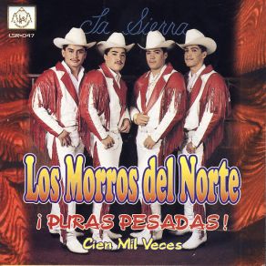 Download track Cien Mil Veces Los Morros Del Norte