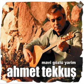 Download track Ayşemin Yeşil Sandığı Ahmet Tekkuş