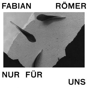 Download track Dreh Den Nebel Um Fabian Roemer