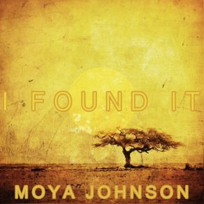 Download track I Found It (Mash Remix) Moya Johnson