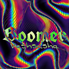 Download track Boomer (Speed Up) Vashsasha