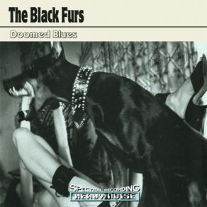 Download track Serpent Baby The Black Furs