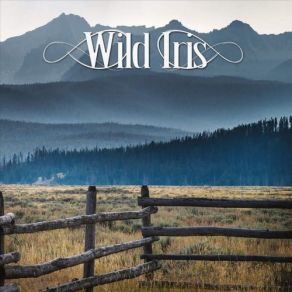 Download track The First Time Wild Iris