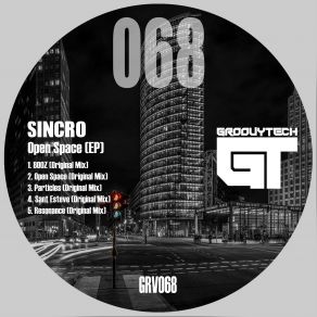 Download track Particles (Original Mix) Sincro