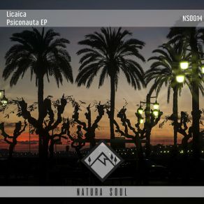 Download track Psiconauta (Original Mix) Licaica