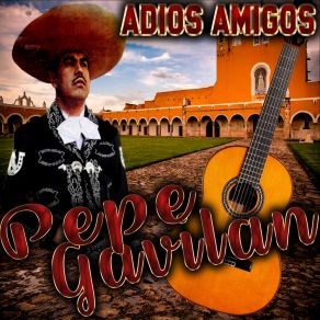 Download track Naci Para Cantar Pepe Gavilan