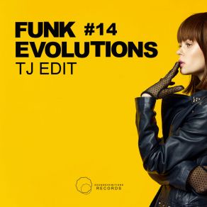 Download track Funk Evolutions 14 TJ Edit