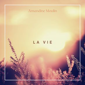 Download track Soir De Grêle Amandine Moulin