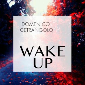 Download track Modo Domenico Cetrangolo