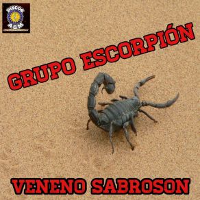 Download track Mujer Divina Grupo Escorpion