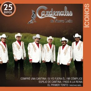 Download track Cómo Te Llamas Paloma Cardenales De Nuevo León