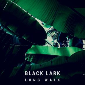 Download track Foretaste Black Lark