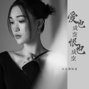 Download track 爱也成空恨也成空 (Dj豪大版) 小小杨钰莹