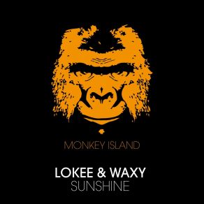 Download track Sunshine (Lokee & Ynot's Radio Edit) Lokee