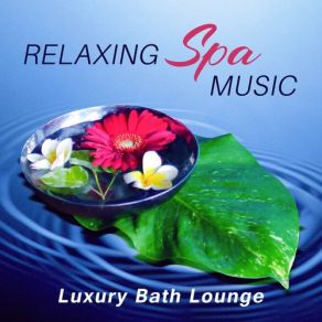 Download track Sounds Of Nature Mindfulness Meditation Music Spa Maestro