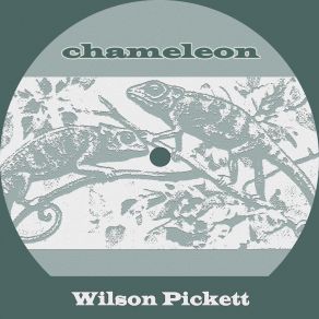 Download track Baby Call On Me Wilson Pickett