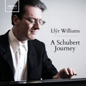 Download track Sonata In A Major, Op. Post. 120, D. 664: III. Allegro Llyr Williams