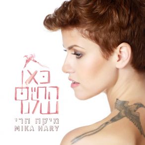 Download track צל ההר הלבן (בונוס טראק - גרסה אקוסטית) Mika Hary