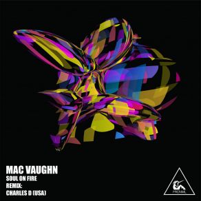 Download track Soul On Fire (Original Mix) Mac Vaughn