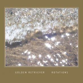 Download track Sunsight Golden Retriever