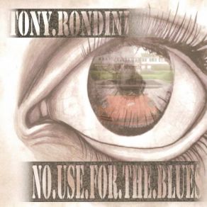 Download track Killer Bees Tony Rondini