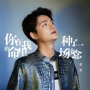 Download track 你在我的命里种了一场执念 (伴奏) 展展