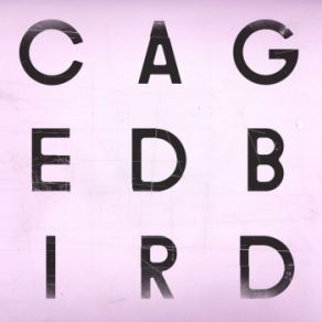 Download track A Caged Bird / Imitations Of Life Cinematic Orchestra