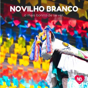 Download track Bate Coração Boi Novilho