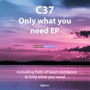 Download track Path Of Least Resistence C37