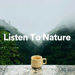 Download track Calm Nature Moments, Pt. 55 Nature Sounds