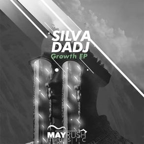 Download track Dreamer (Electronic Mix) Silva DaDj