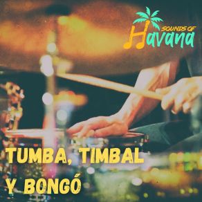 Download track Tumba, Timbal Y Bongó Sounds Of Havana