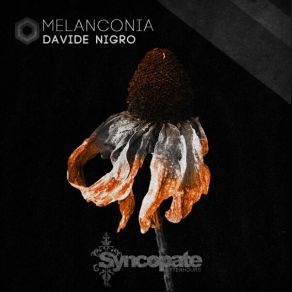 Download track Baccanalia (Original Mix) Davide Nigro