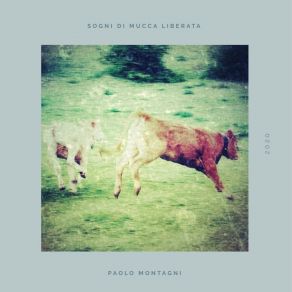 Download track Canzone Fuori Moda Paolo Montagni